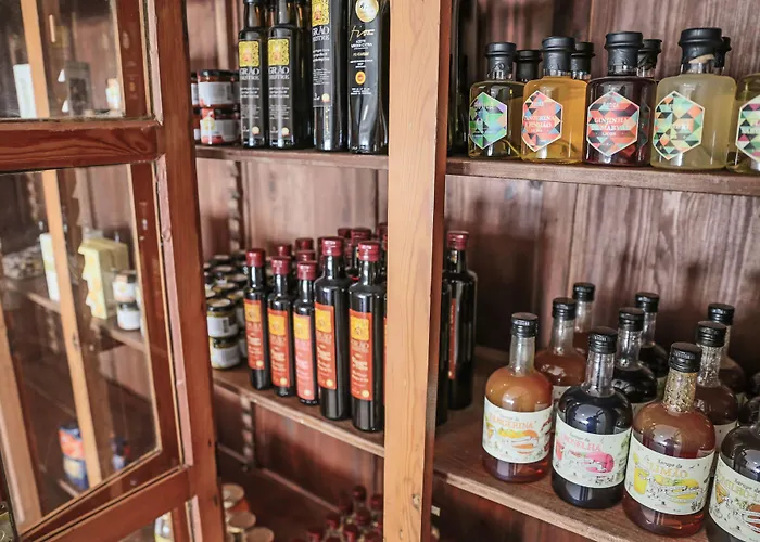 Boa Vista & - Adults Only