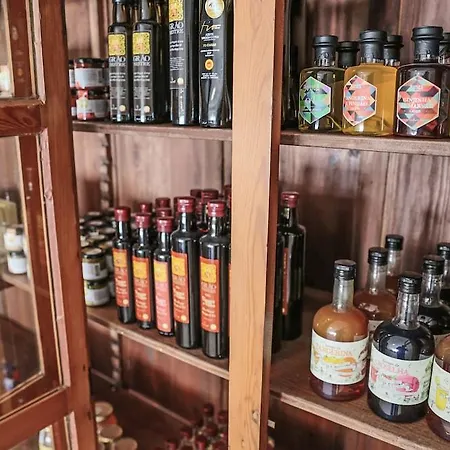 酒店 博阿维斯塔酒店 - 仅限成人 阿尔布费拉
